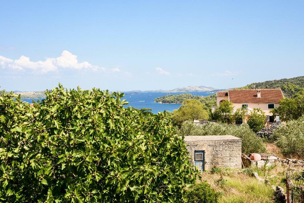 Apartment Lordanic Zaglav, Dugi Otok Exterior foto